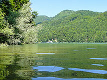 Schwarzensee