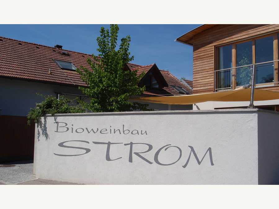 Bioweinbau Strom in Mollands