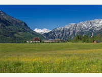 DIE WASNERIN mit Dachstein - G´sund & Natur Hotel Die Wasnerin