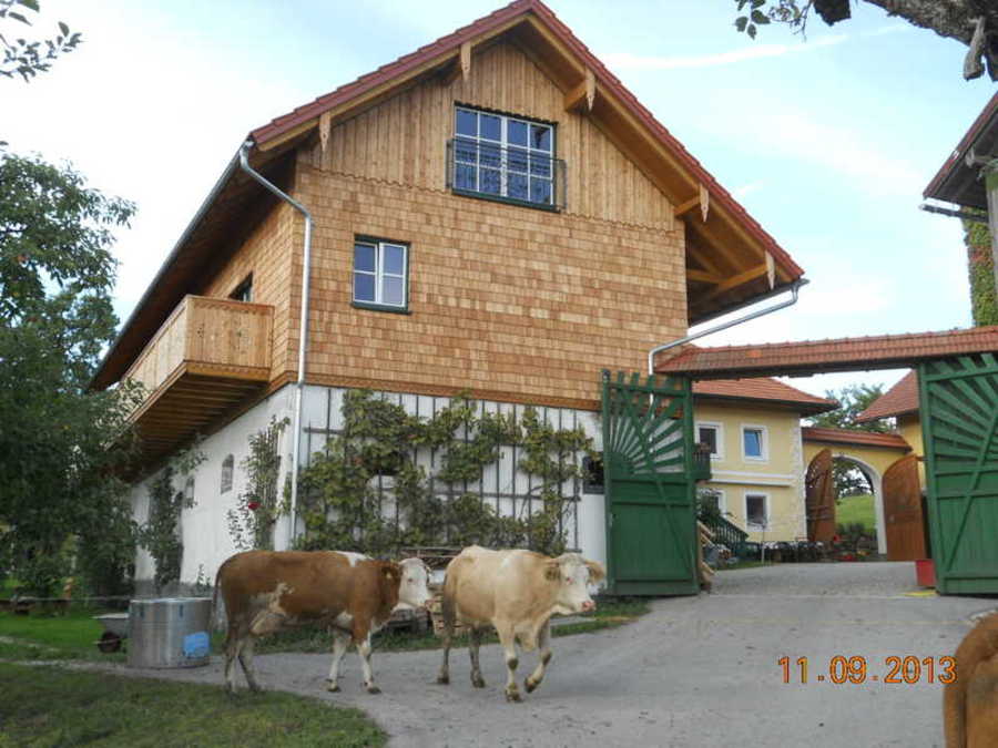 Heubodenwohnungen - Höcknerhof