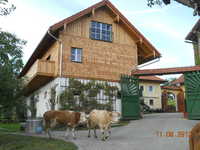 Heubodenwohnungen - Höcknerhof