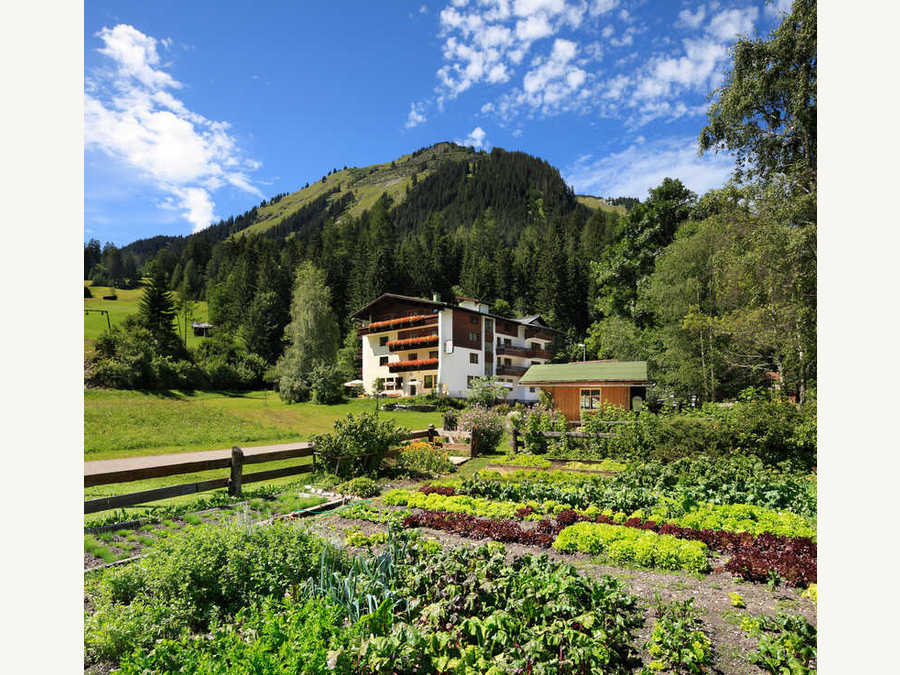 Pension Birkenhof in Holzgau